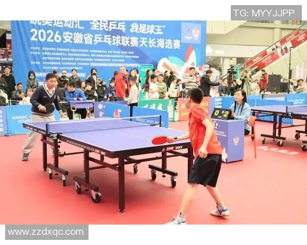 乒乓球的魅力与灵动：深入杭州乒乓球队的训练与战术揭秘